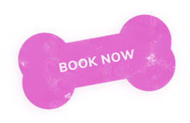 Book now